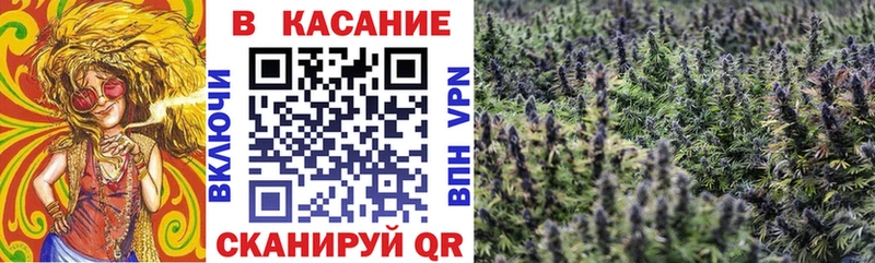 Наркошоп купить Бошки Шишки  Меф мяу мяу  КОКАИН  Гашиш  Гороховец