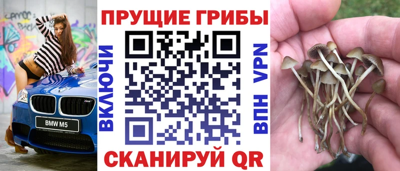 Купить закладки  Гороховец  Псилоцибиновые грибы GOLDEN TEACHER 